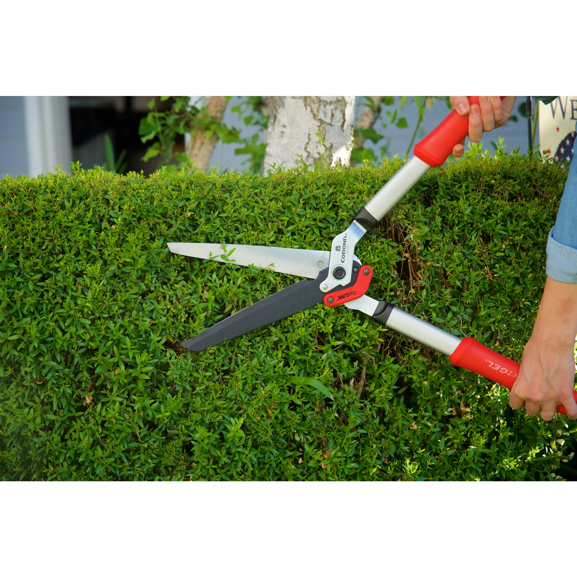 Precision Tools for Master Gardeners